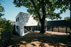 Garten am Waldrand