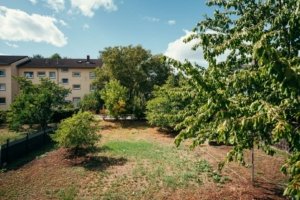 Gartenbereich hinter dem Haus